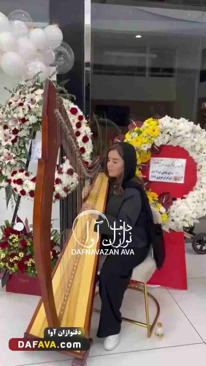 ویدیوی اجرای ارگانی - شماره ۱۱۲ - گروه دفنوازان آوا