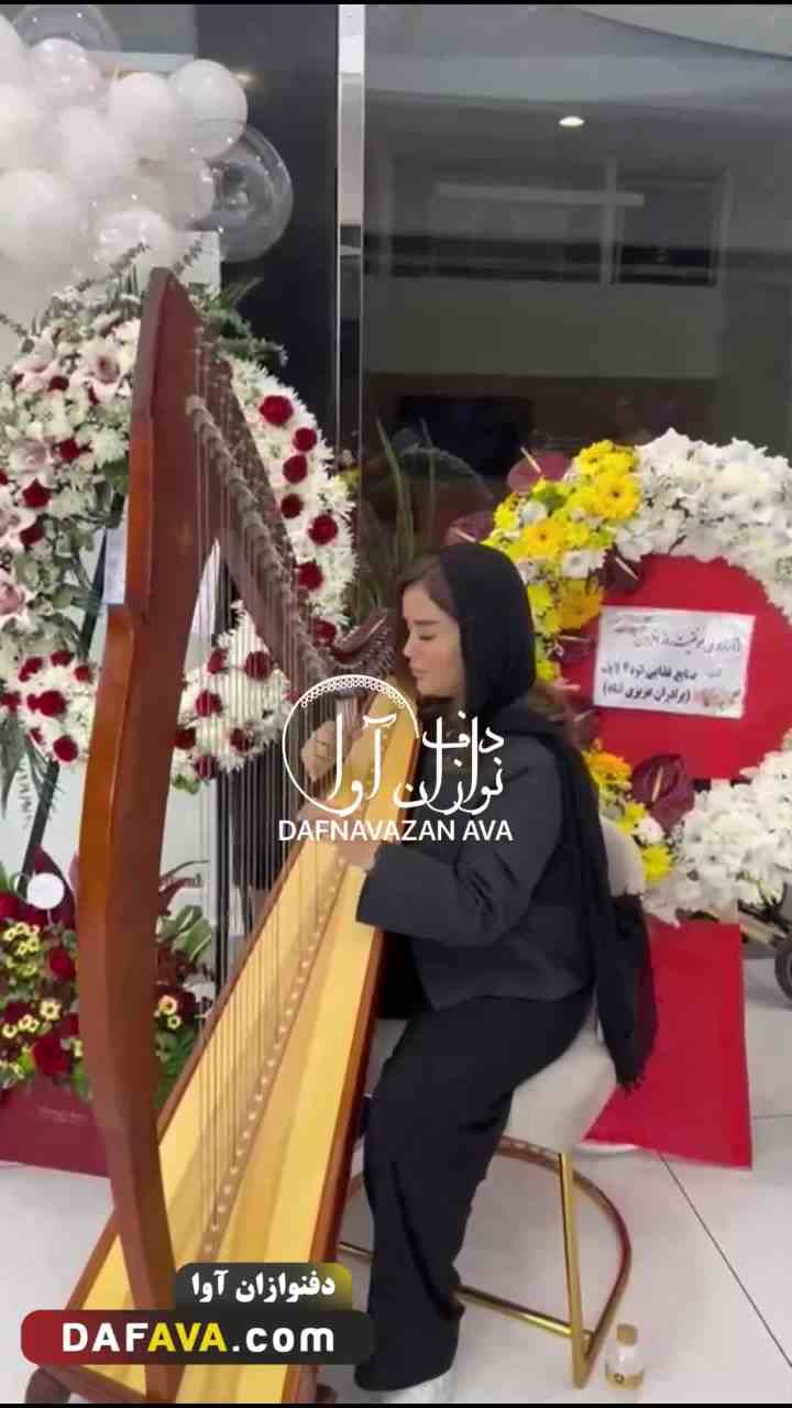 ویدیوی اجرای رستوران ها - شماره ۳۷ - گروه دفنوازان آوا